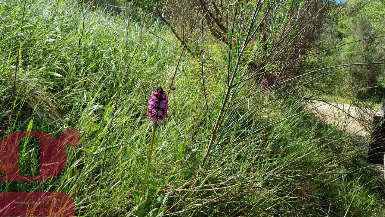 Casa Indipendente - Image 26