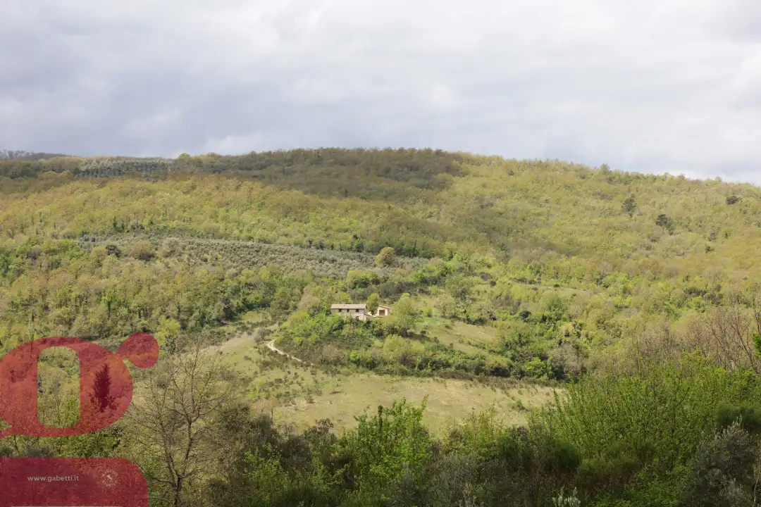 Casa Indipendente - Image 1