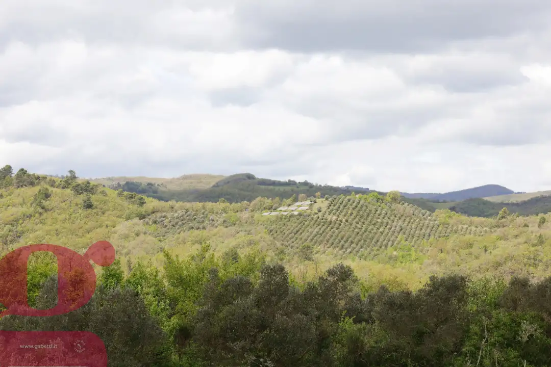 Casa Indipendente - Image 6