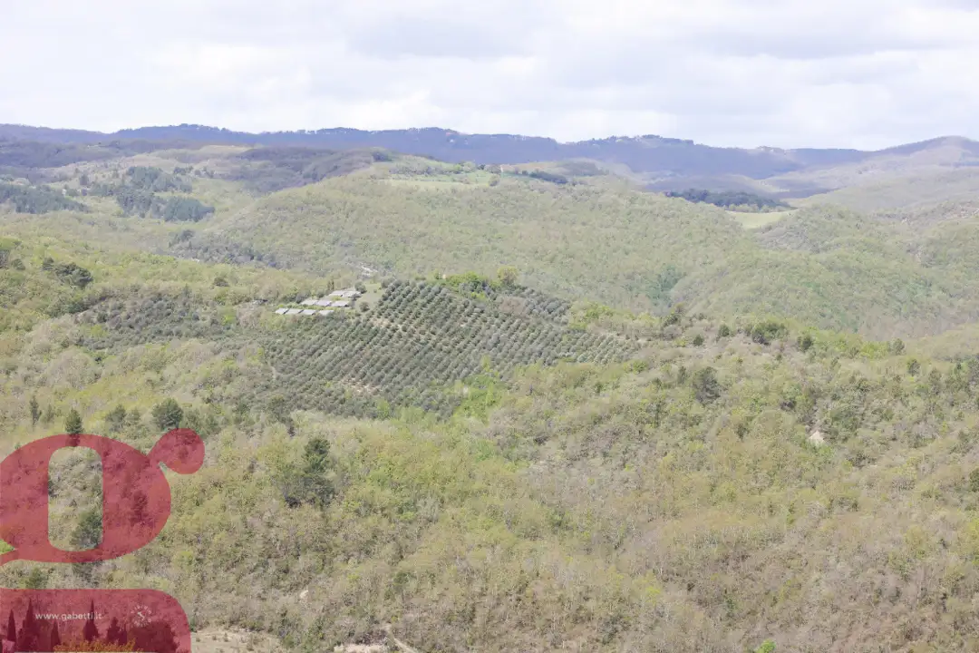 Casa Indipendente - Image 5