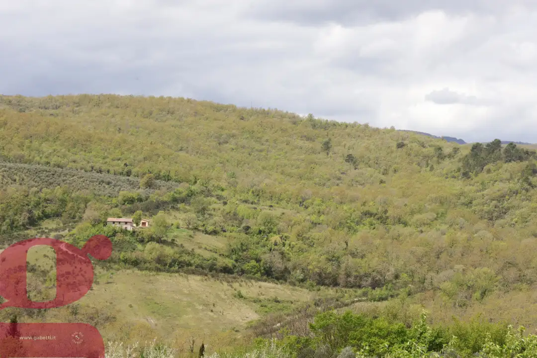 Casa Indipendente - Image 2