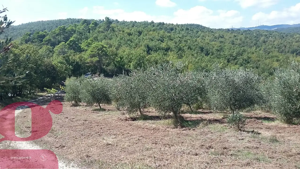 Casa Indipendente - Image 19