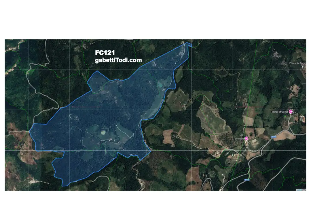 Casa Indipendente - Planimetry 1