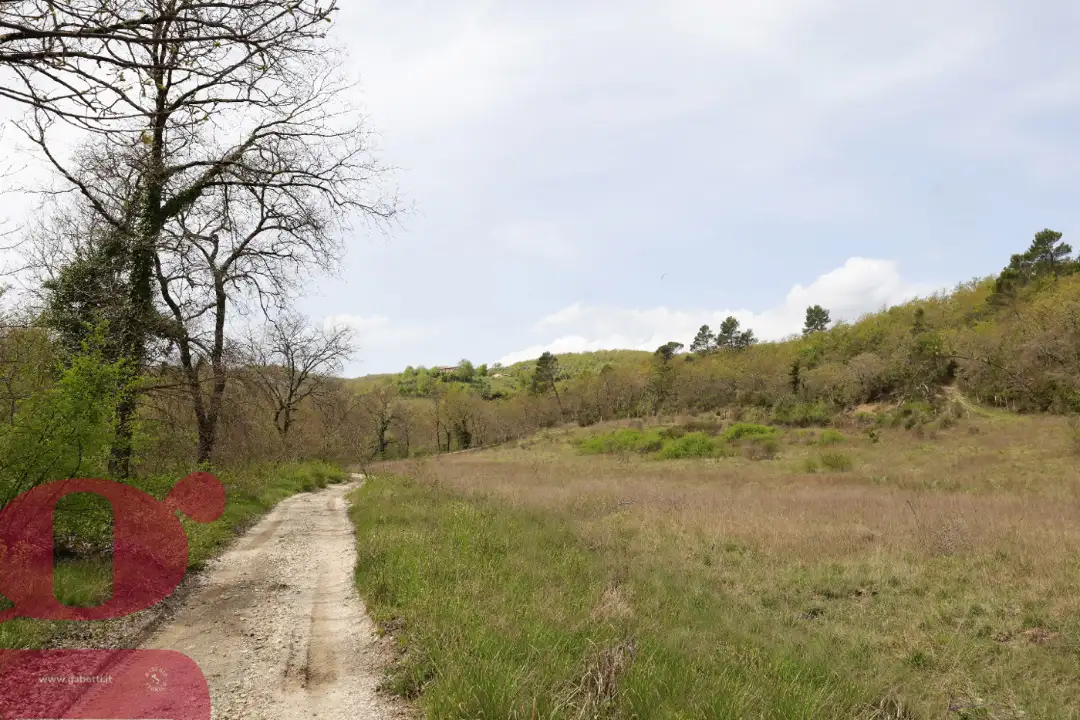 Casa Indipendente - Image 7