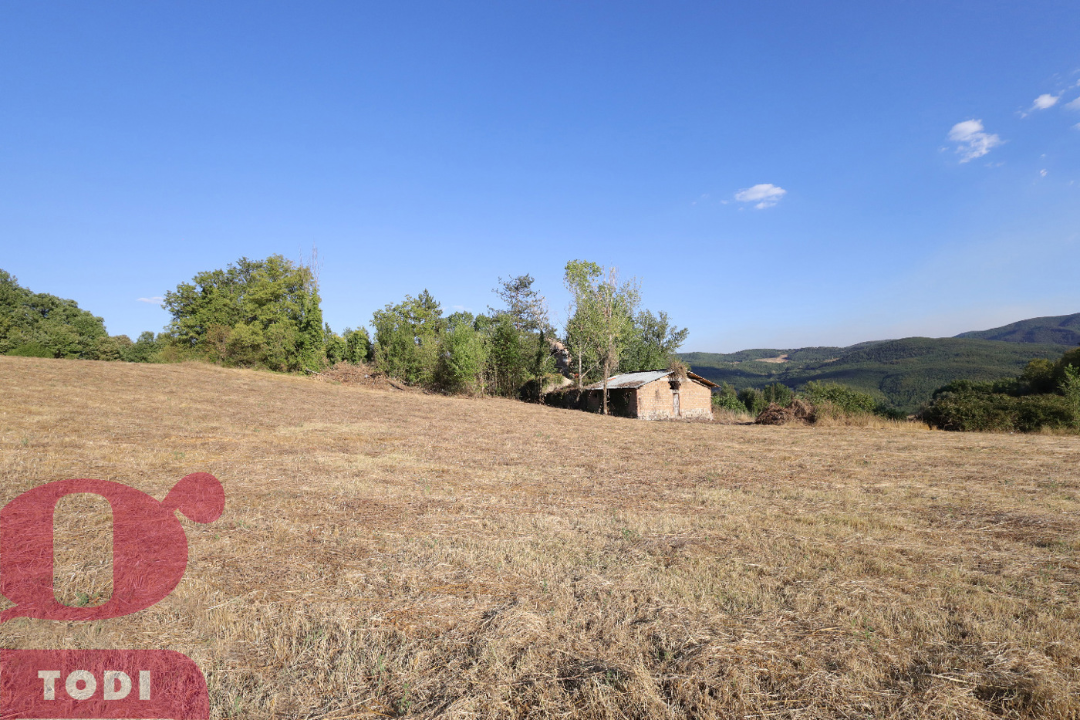 Casa Indipendente - Image 44