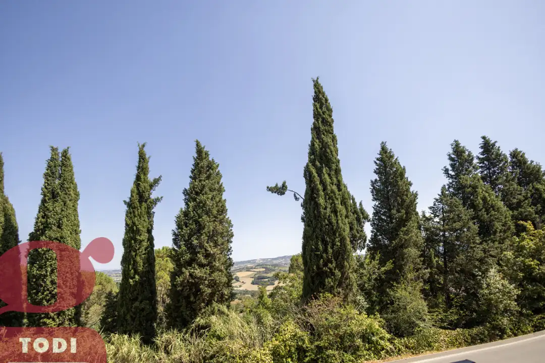 Appartamento - Image 7