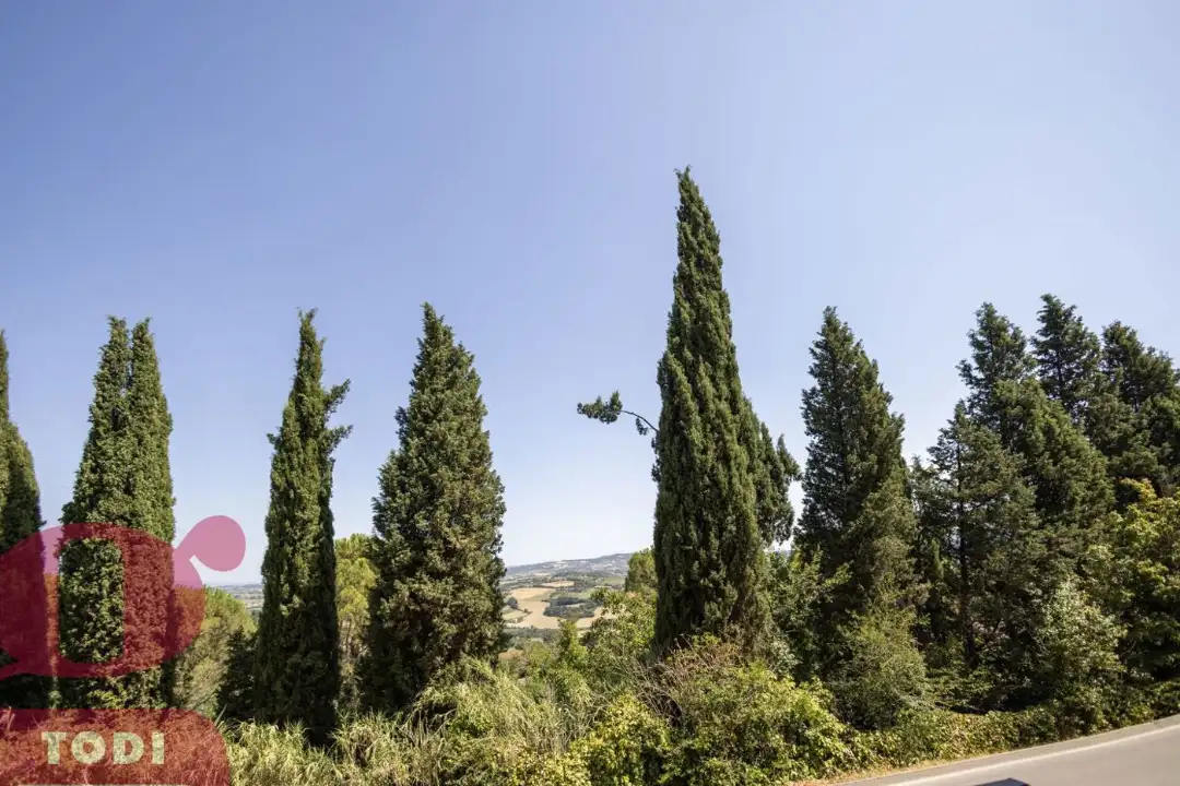 Appartamento - Image 22