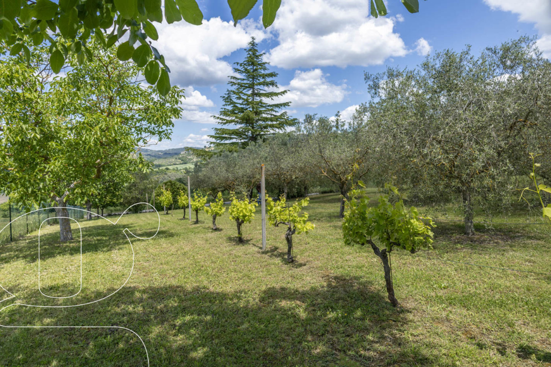 Casa Indipendente - Image 22