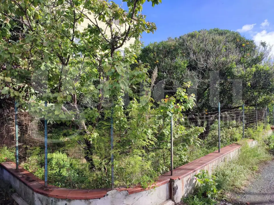 Casa Indipendente - Image 5