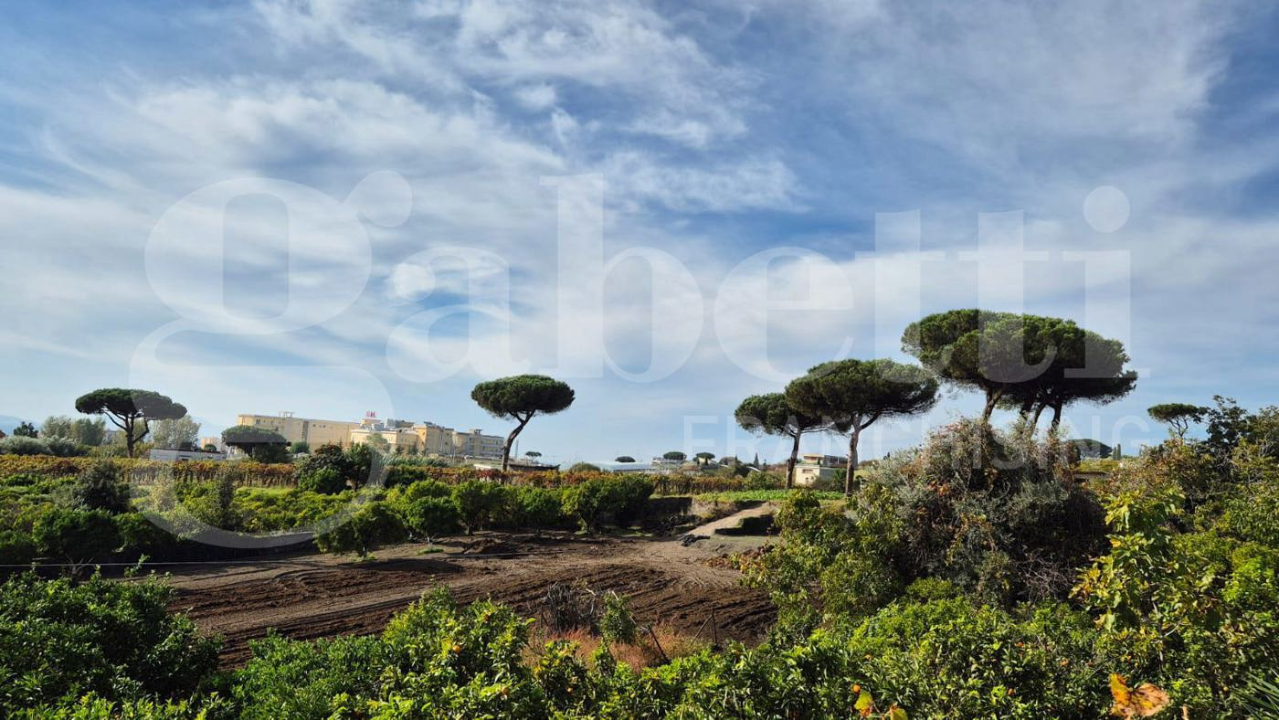 Palazzina - Image 45