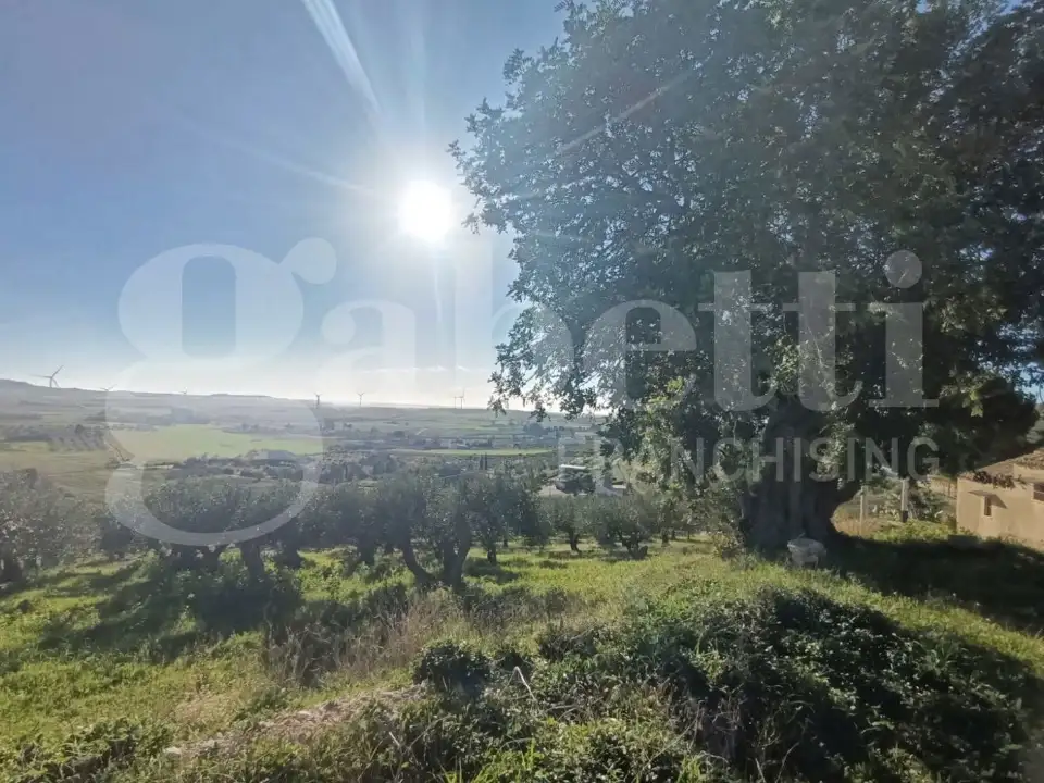 Casa Indipendente - Image 9