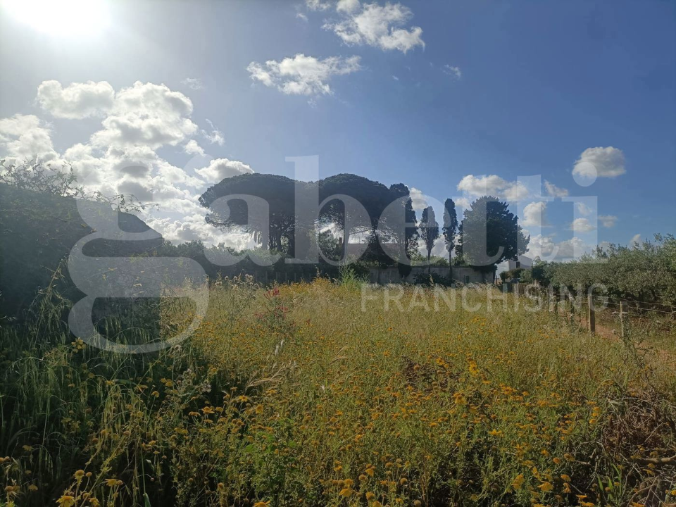 Casa Indipendente - Image 6