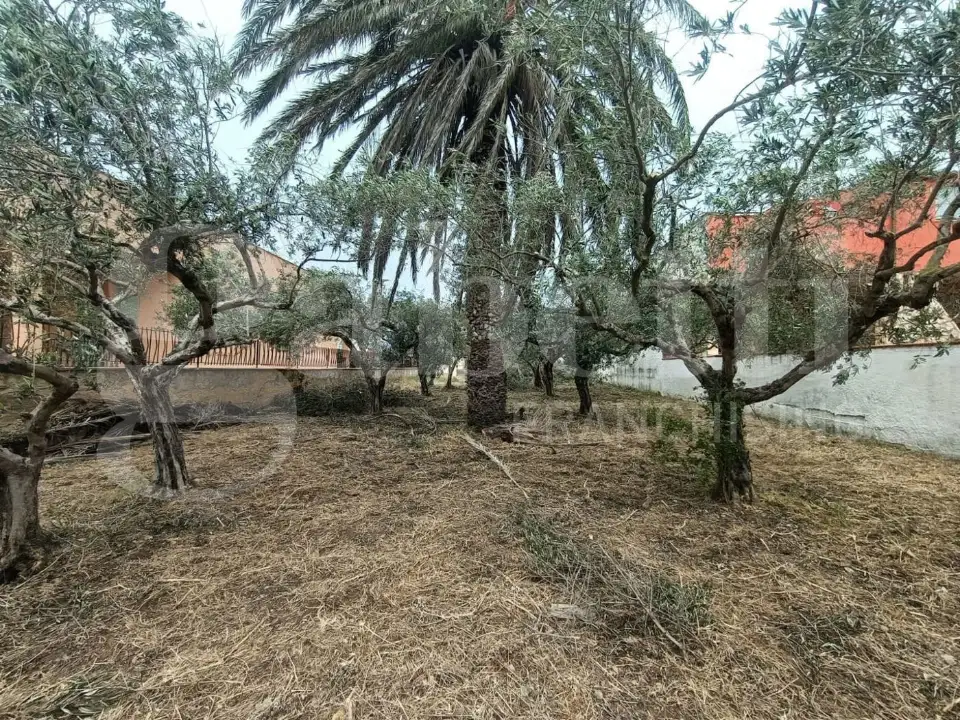 Terreno - Image 7
