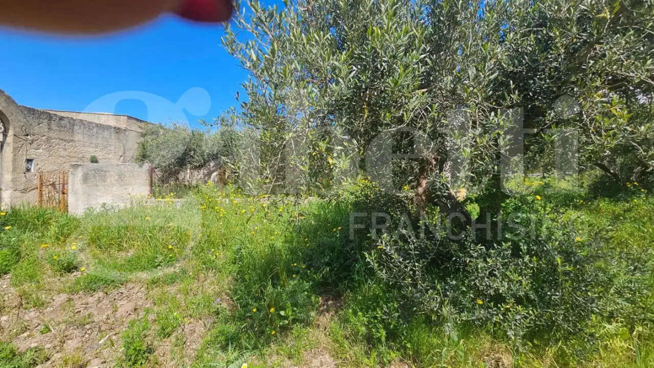 Casa Indipendente - Image 5