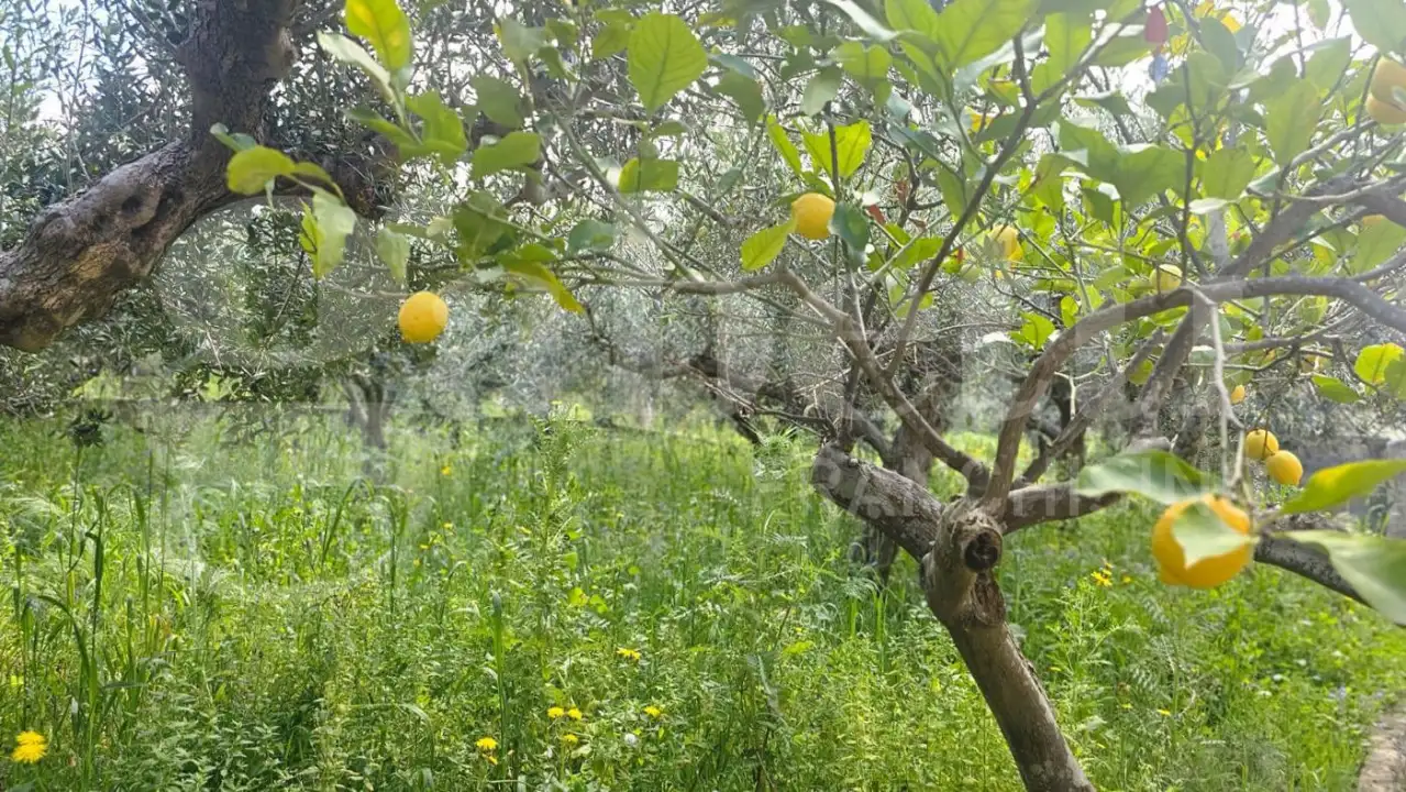 Casa Indipendente - Image 3