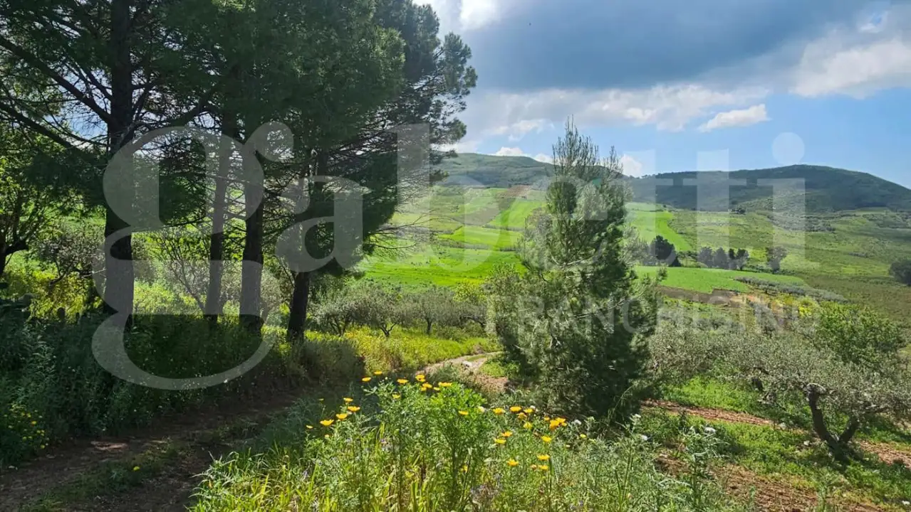 Casa Indipendente - Image 8