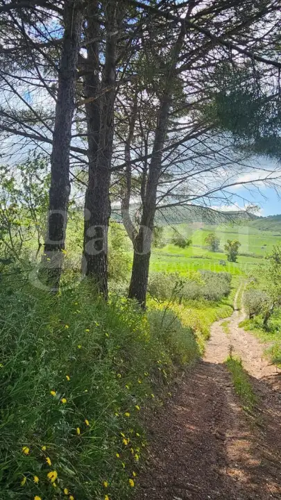 Casa Indipendente - Image 9