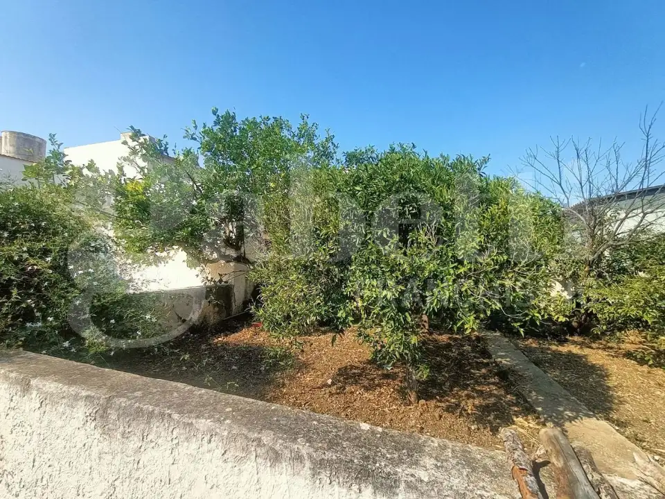 Casa Indipendente - Image 6