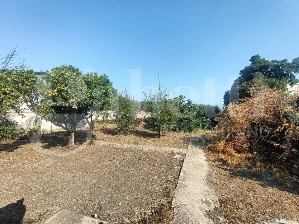 Casa Indipendente - Image 4