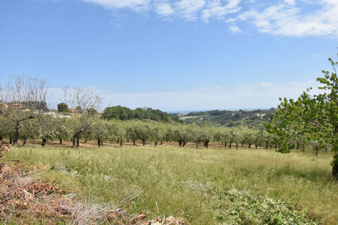 Casa Indipendente - Image 27