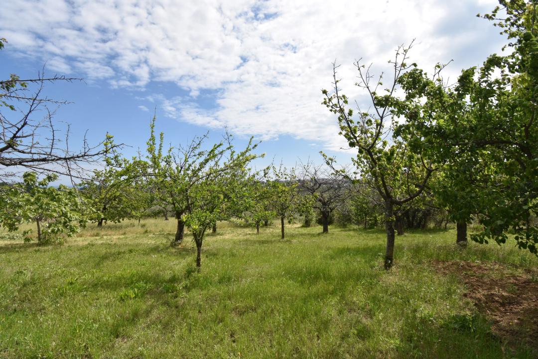 Casa Indipendente - Image 26