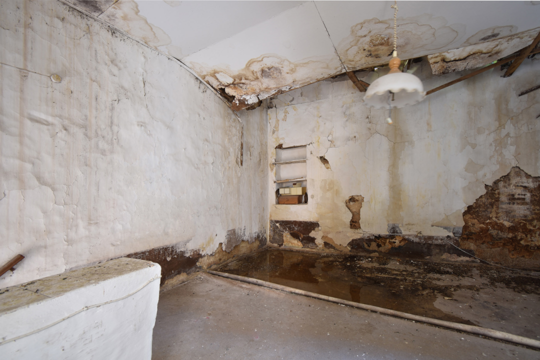 Casa Indipendente - Image 5