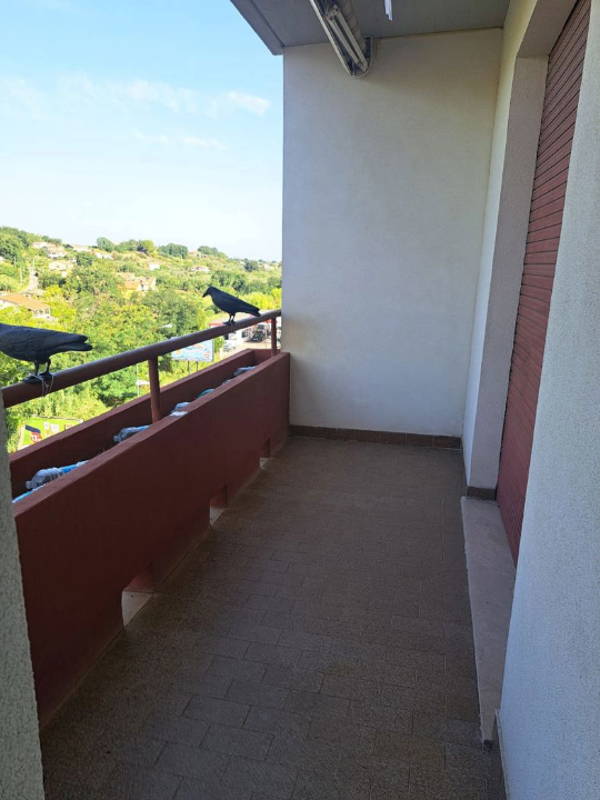 Appartamento - Image 6