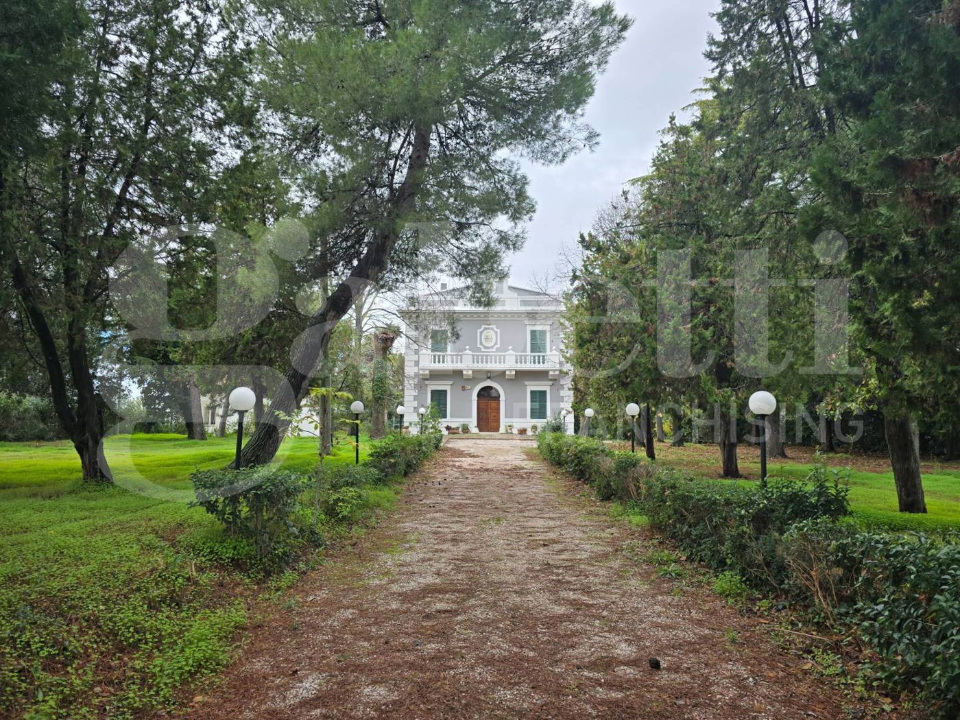 Villa - Image 4