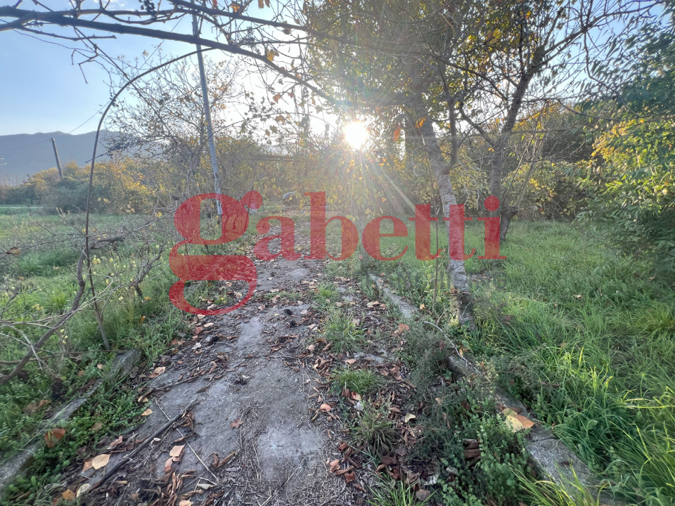 Casa Indipendente - Image 4