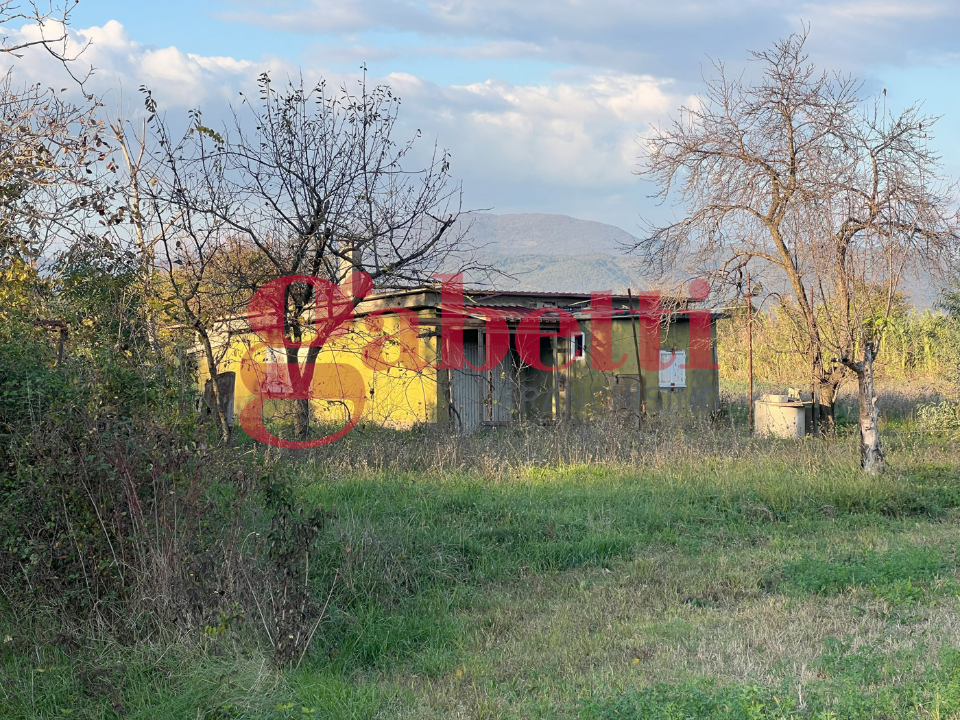 Casa Indipendente - Image 6