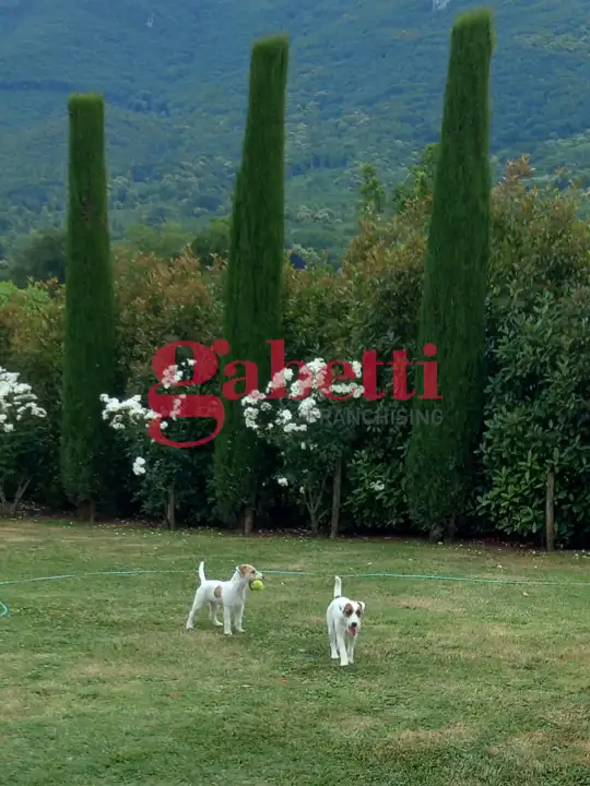 Casa Indipendente - Image 31