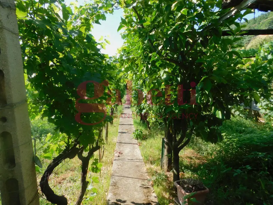 Casa Indipendente - Image 22