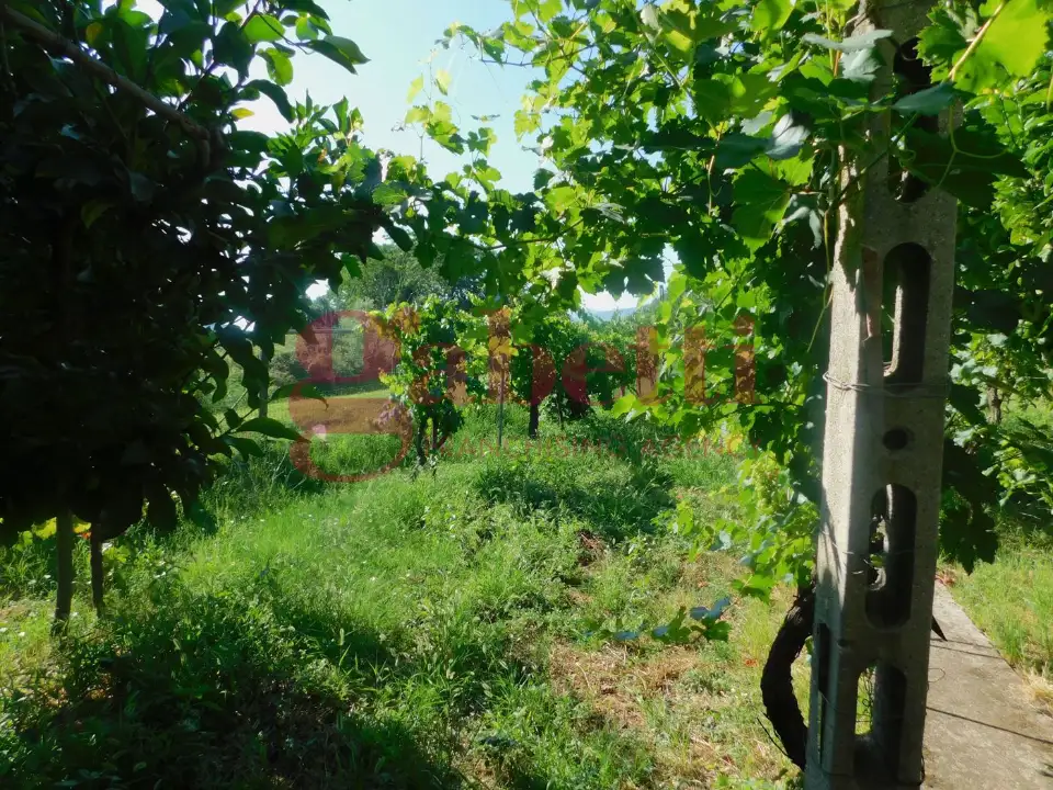 Casa Indipendente - Image 23