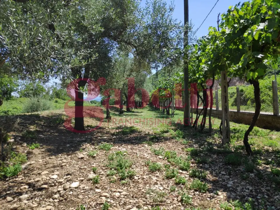 Casa Indipendente - Image 20