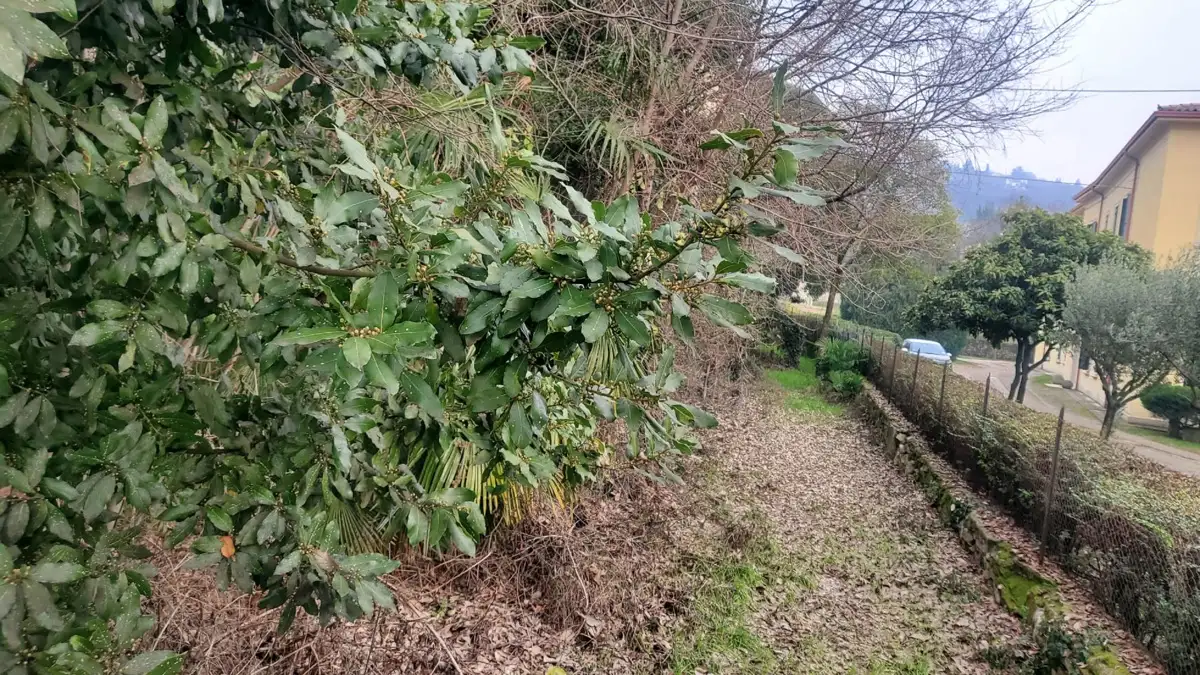 Casa Indipendente - Image 6