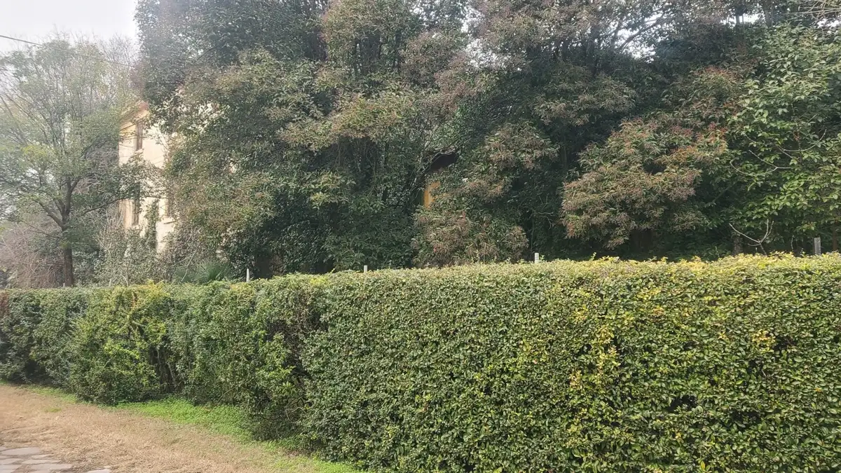 Casa Indipendente - Image 4