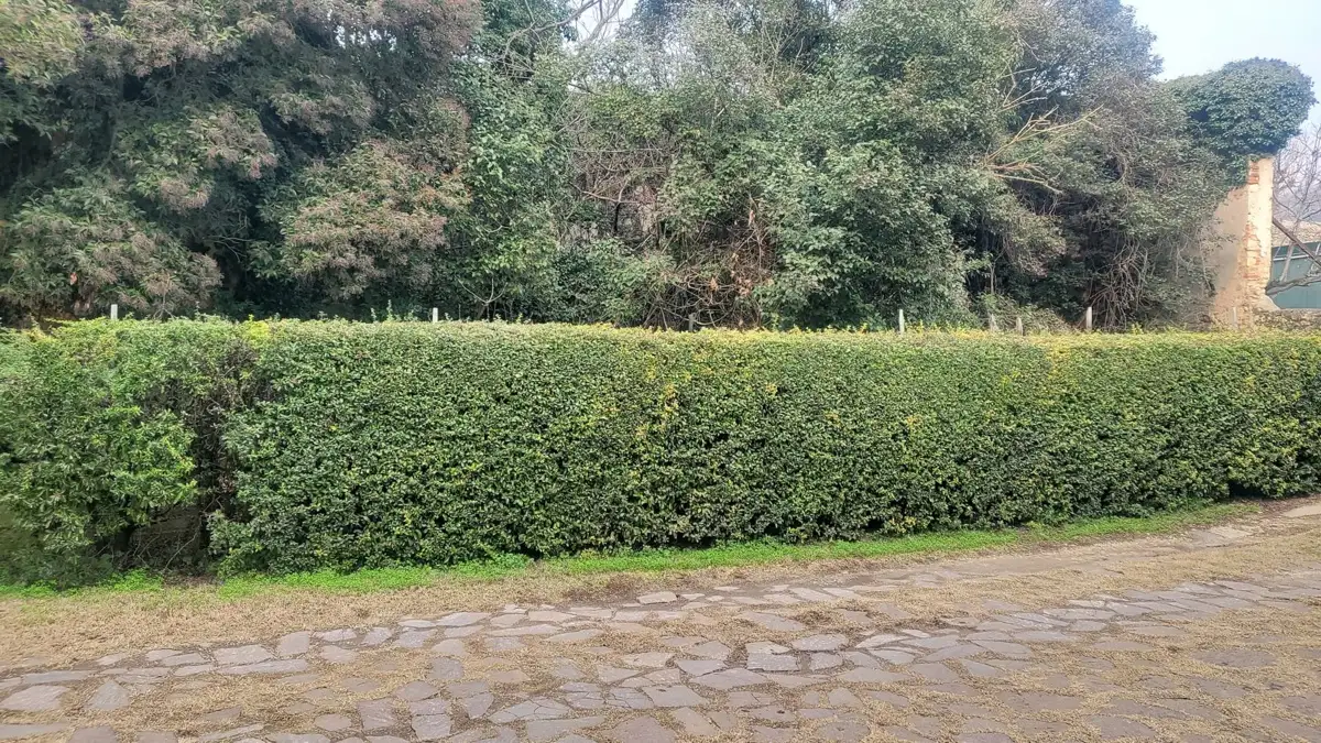 Casa Indipendente - Image 3