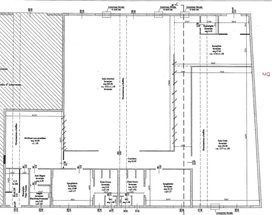 Capannone - Planimetry 1