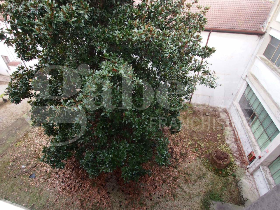 Capannone - Image 24