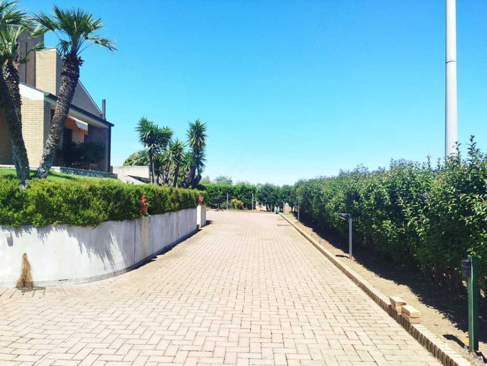 Complesso - Image 13