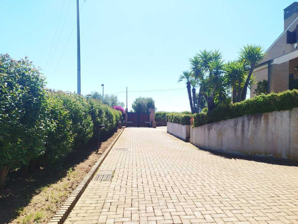 Complesso - Image 16