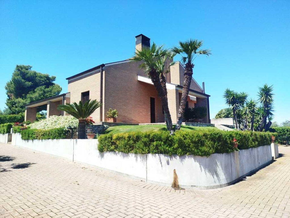 Complesso - Image 15