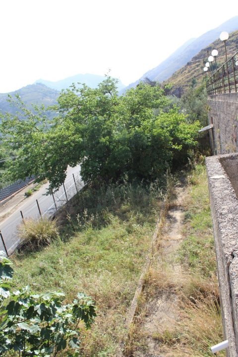 Complesso - Image 38