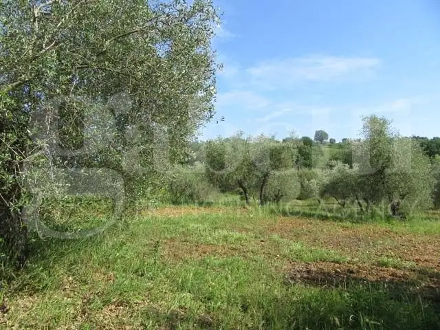 Casa Indipendente - Image 18