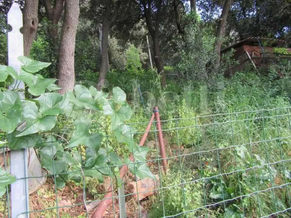 Appartamento - Image 23