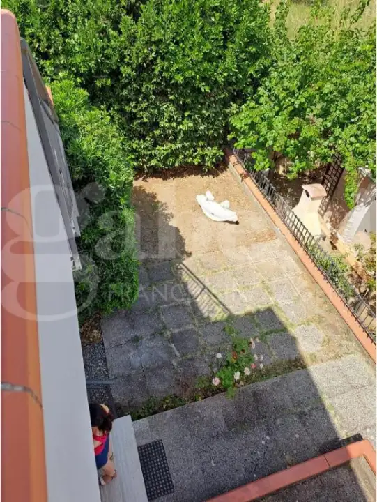 Appartamento - Image 11