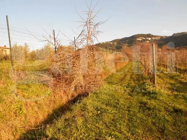 Casa Indipendente - Image 14