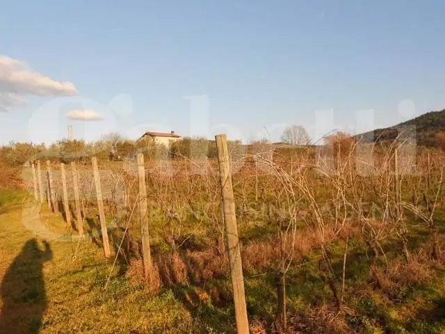 Casa Indipendente - Image 13