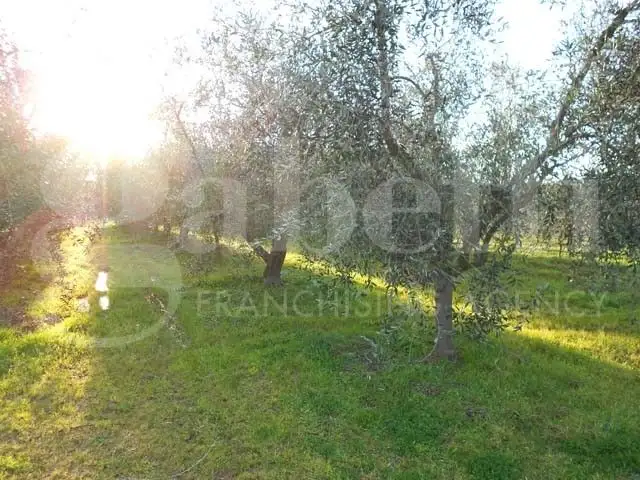 Casa Indipendente - Image 9