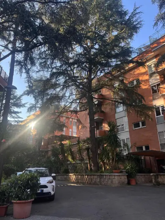 Appartamento - Image 1